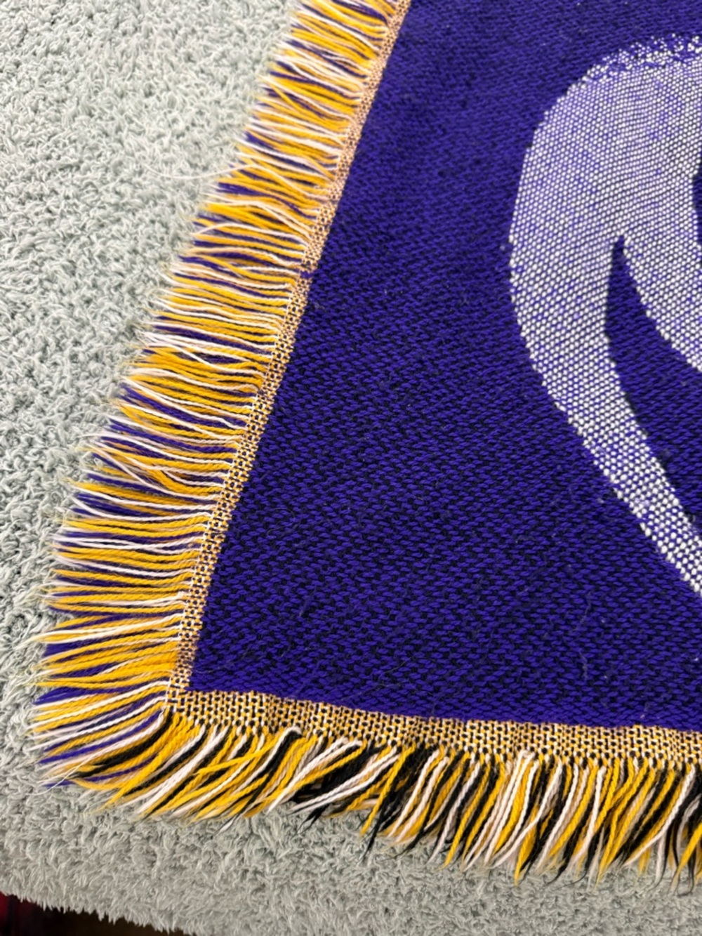 Minnesota Vikings Tapestry Throw Blanket W/ Fringe - 40" X 50" - Picture 5 of 7